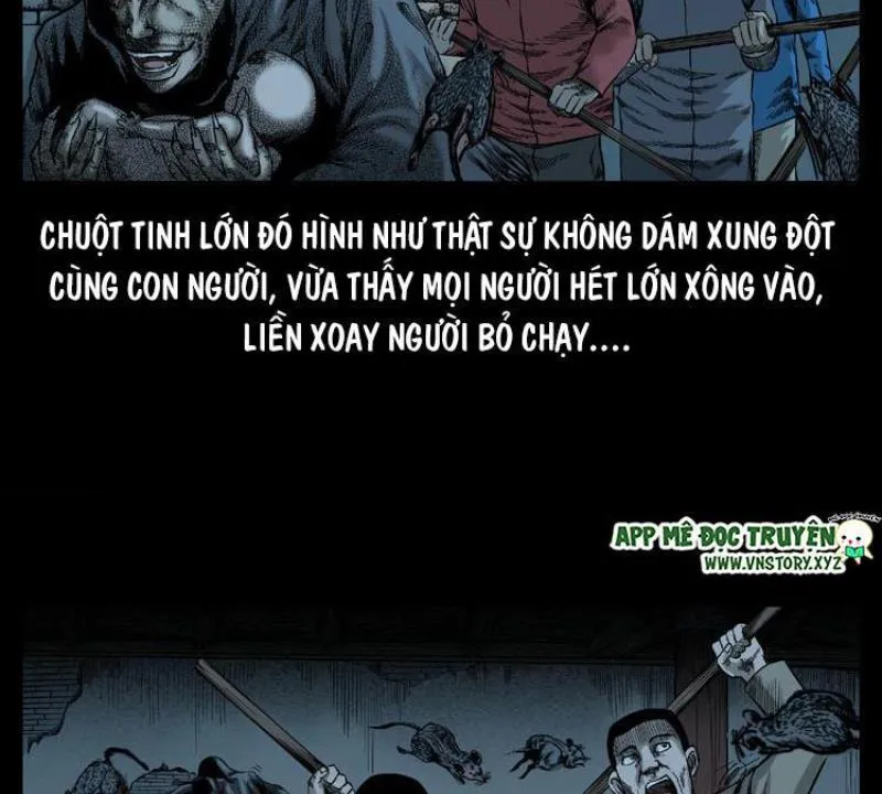 Tam Lão Gia Kinh Kỳ Thủ Trát Chapter 50 - Trang 20