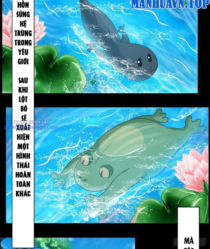 Tân Sủng Mị Chapter 38 - Trang 5