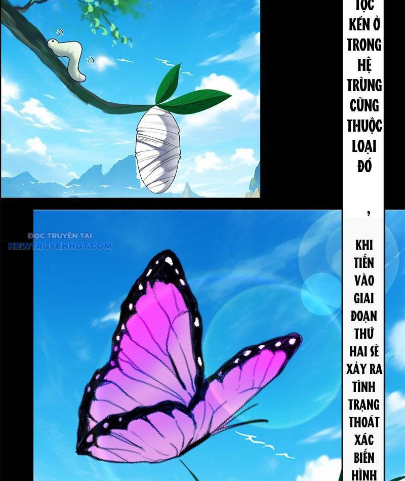 Tân Sủng Mị Chapter 38 - Trang 6