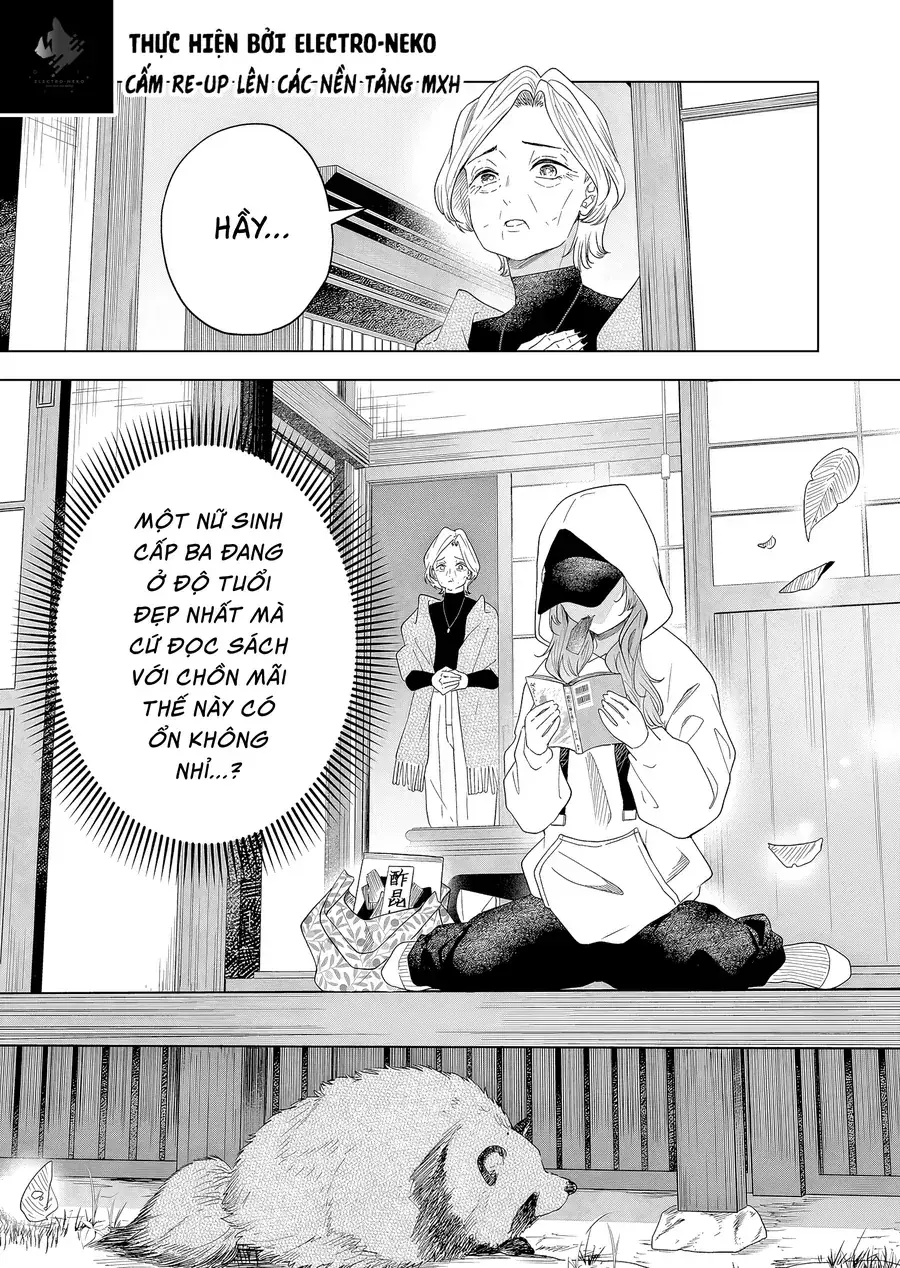 Tanuko No Seizon Senryaku Chapter 1 - Trang 13