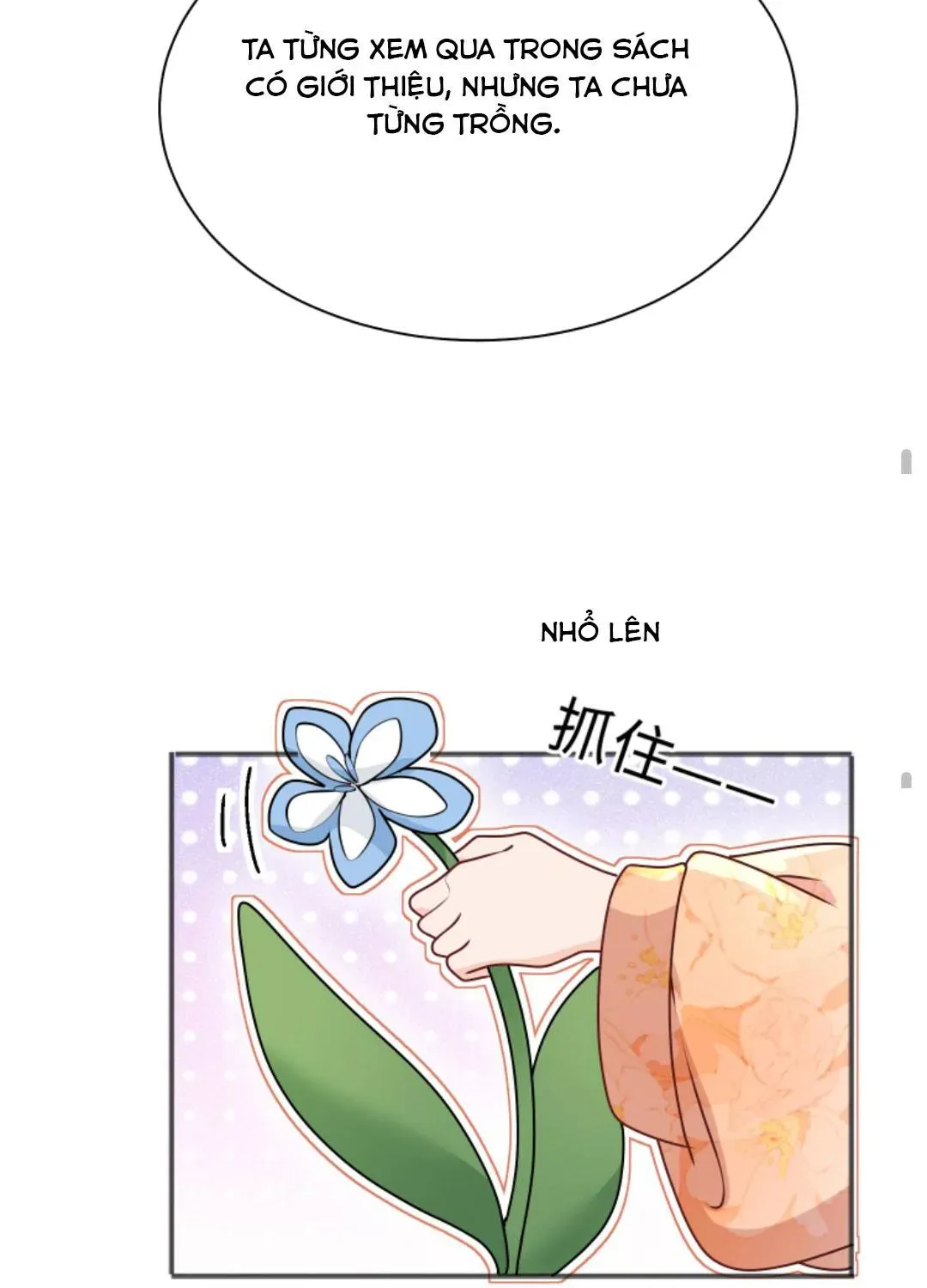 Tất Cả Phản Diện Đều Hắc Hoá , Chỉ Mỗi Sư  Là Hài Hước Chapter 132 - Trang 26
