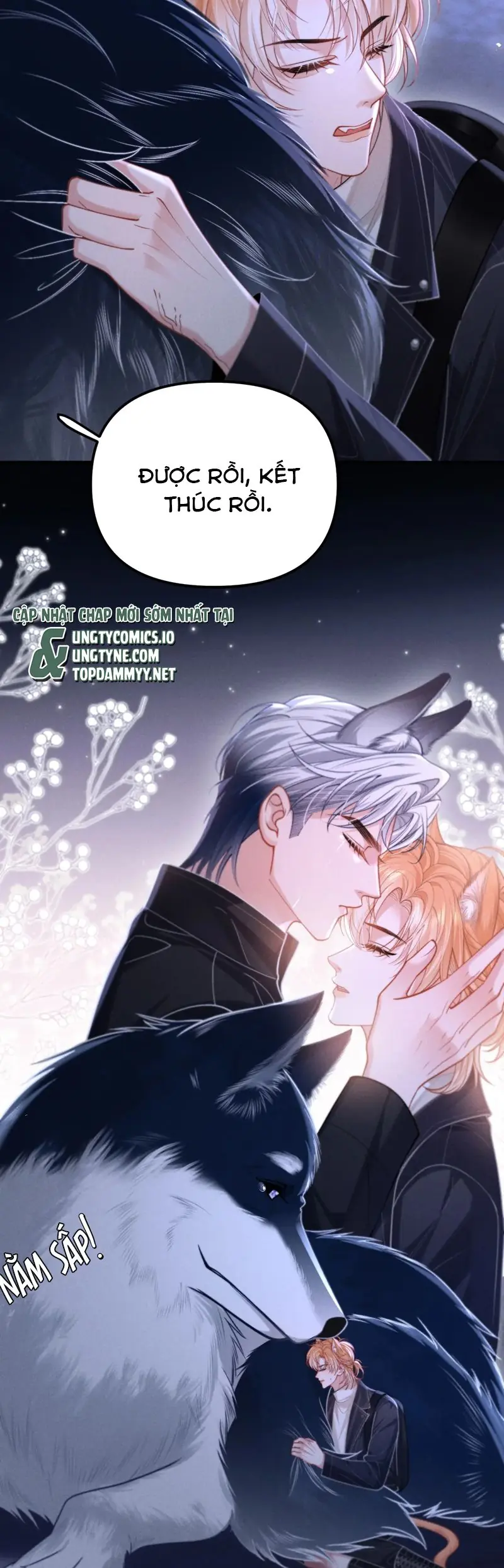 Tật Xấu Nuông Chiều Chapter 17 - Trang 12