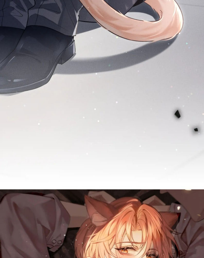 Tật Xấu Nuông Chiều Chapter 2 - Trang 7