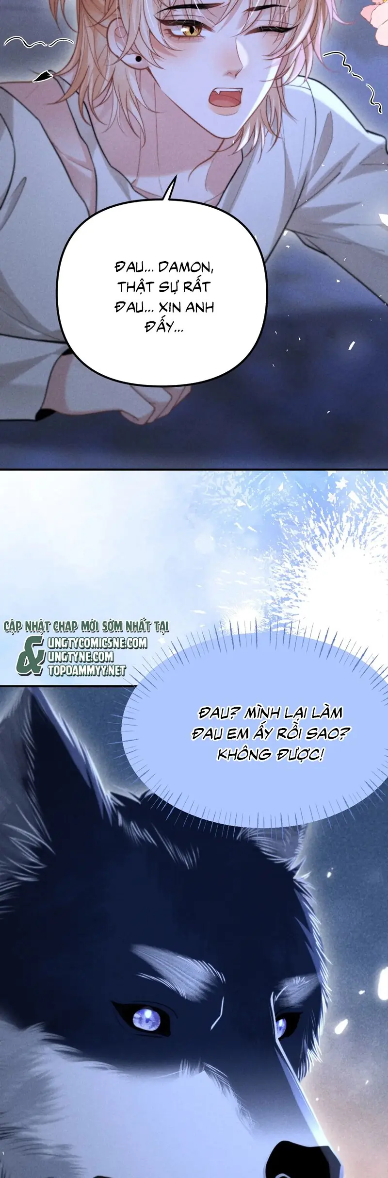 Tật Xấu Nuông Chiều Chapter 22 - Trang 5