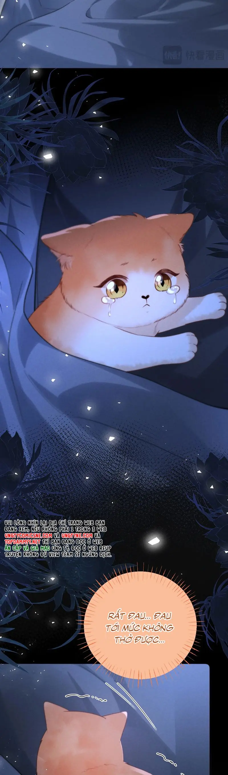 Tật Xấu Nuông Chiều Chapter 24 - Trang 11