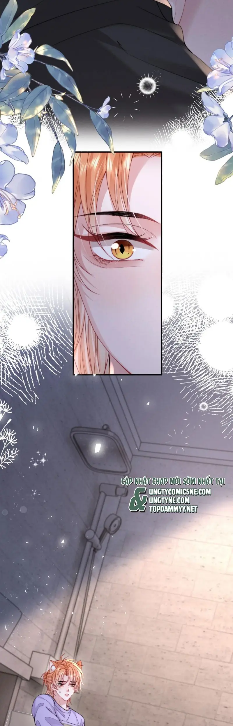 Tật Xấu Nuông Chiều Chapter 39 - Trang 12
