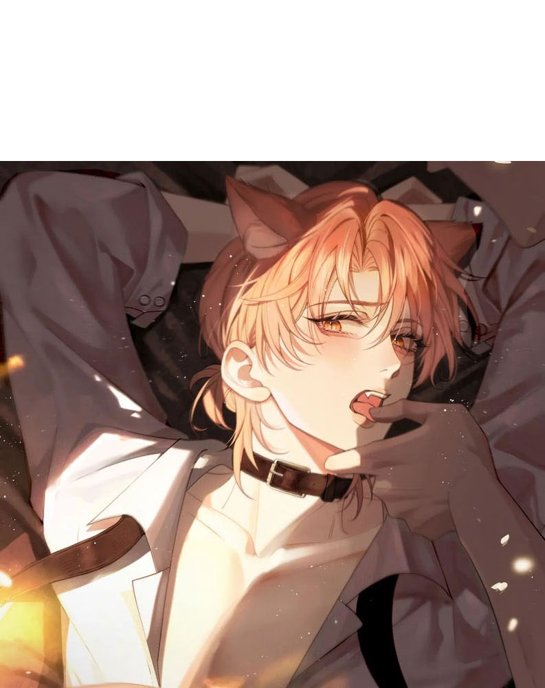 Tật Xấu Nuông Chiều Chapter 4 - Trang 8