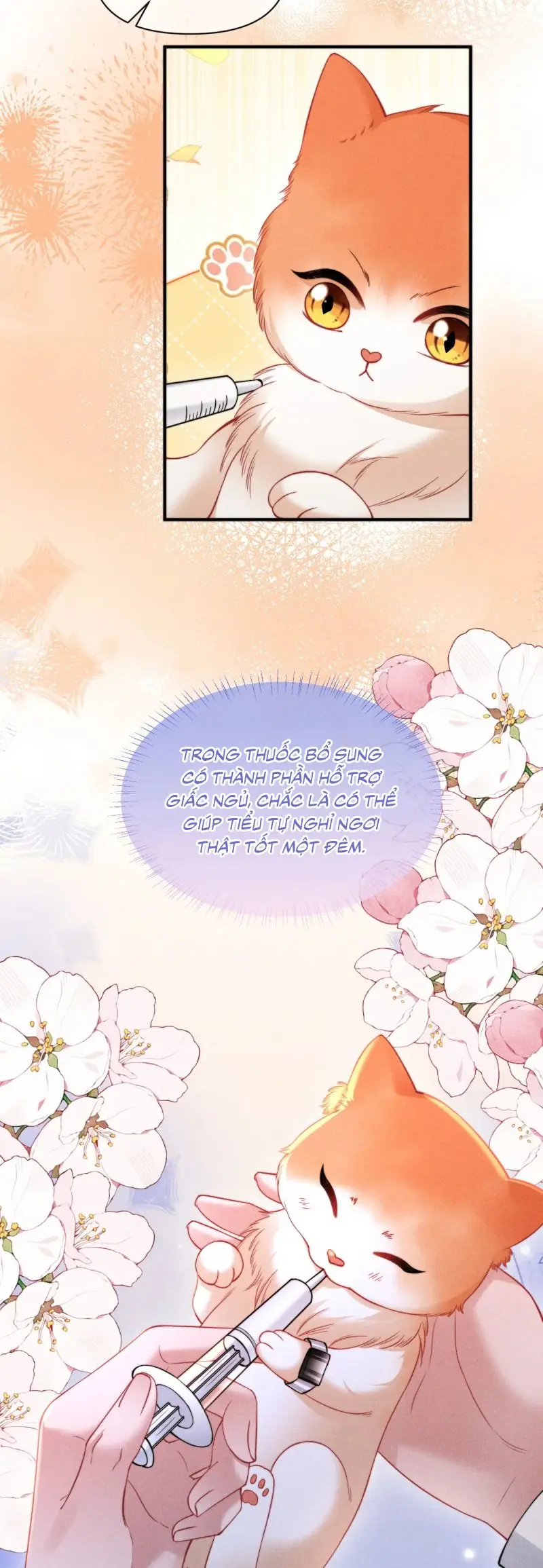 Tật Xấu Nuông Chiều Chapter 40 - Trang 14