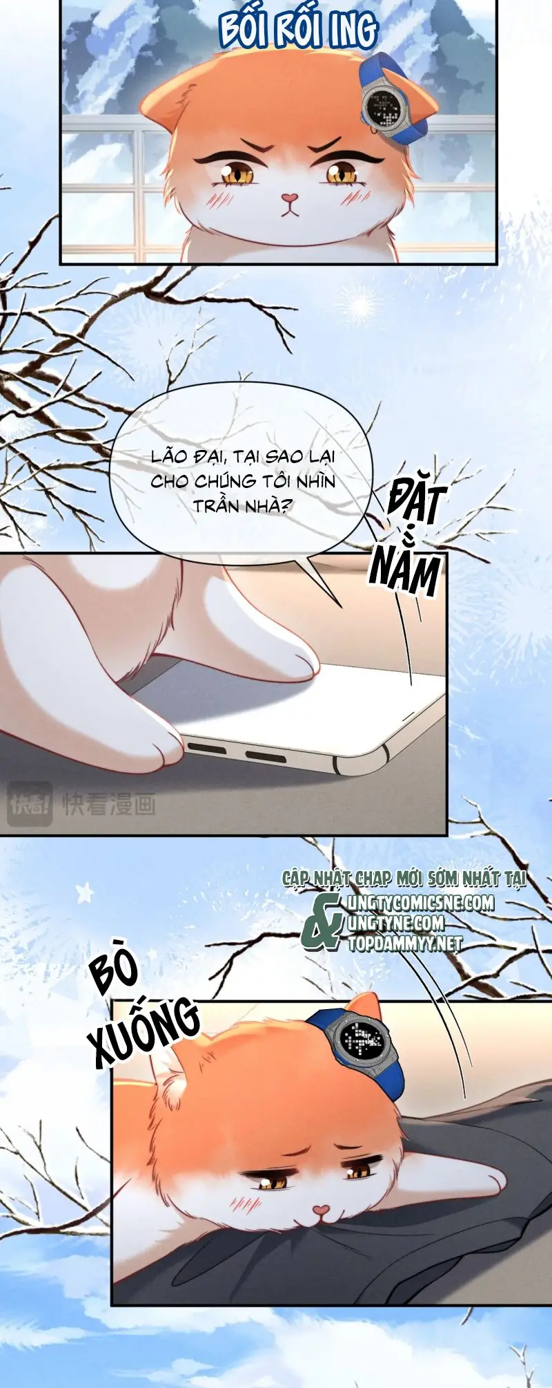 Tật Xấu Nuông Chiều Chapter 43 - Trang 13