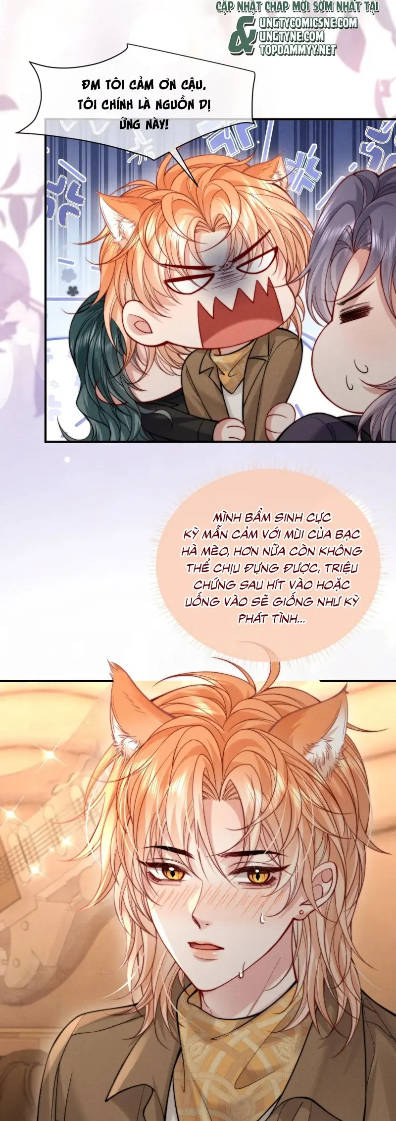 Tật Xấu Nuông Chiều Chapter 47 - Trang 12