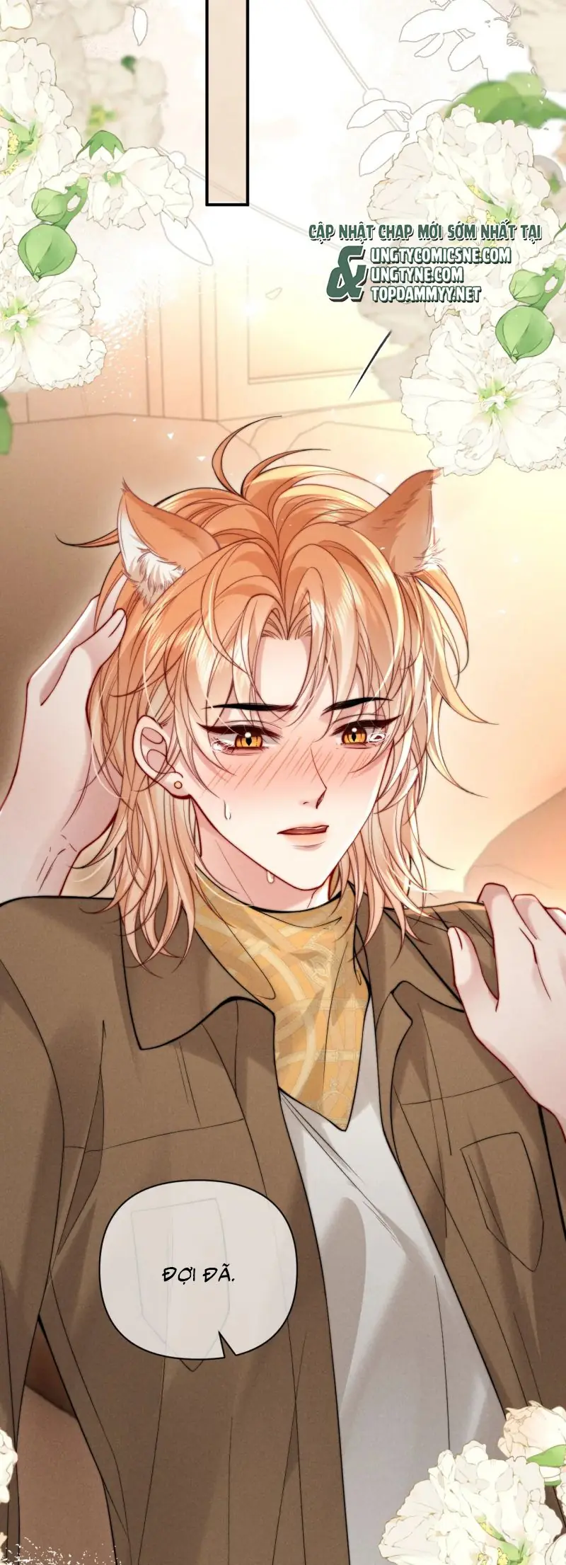Tật Xấu Nuông Chiều Chapter 47 - Trang 15