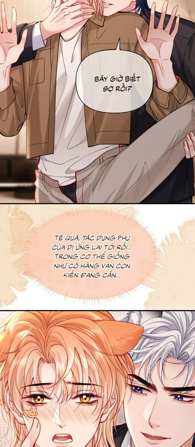 Tật Xấu Nuông Chiều Chapter 49 - Trang 3