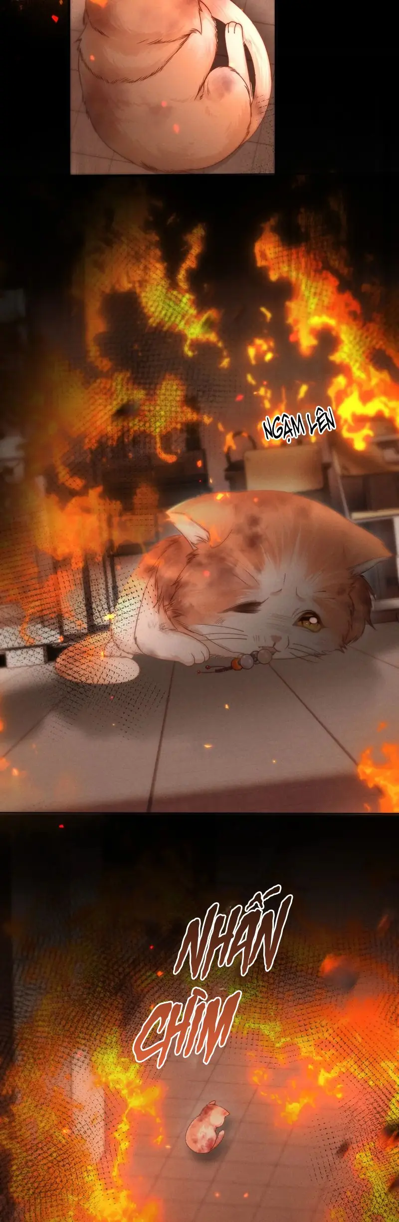 Tật Xấu Nuông Chiều Chapter 5 - Trang 16