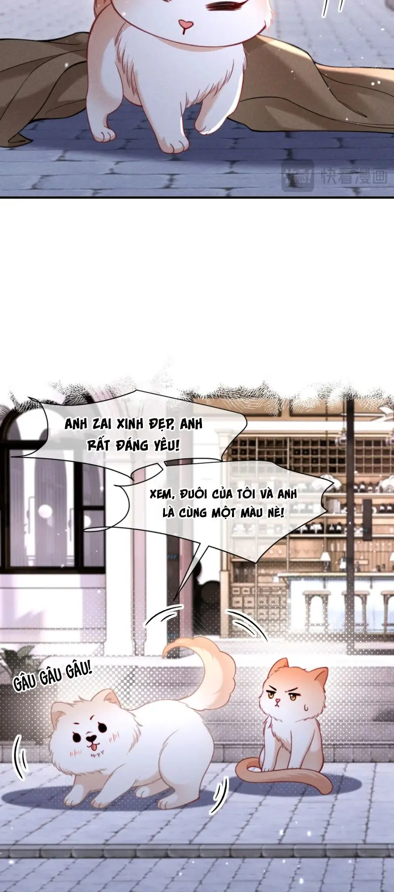 Tật Xấu Nuông Chiều Chapter 52 - Trang 22