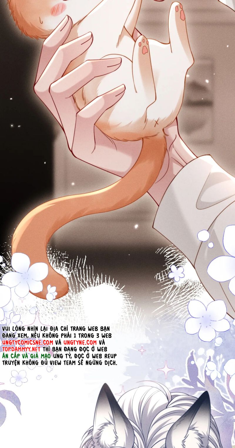 Tật Xấu Nuông Chiều Chapter 53 - Trang 16