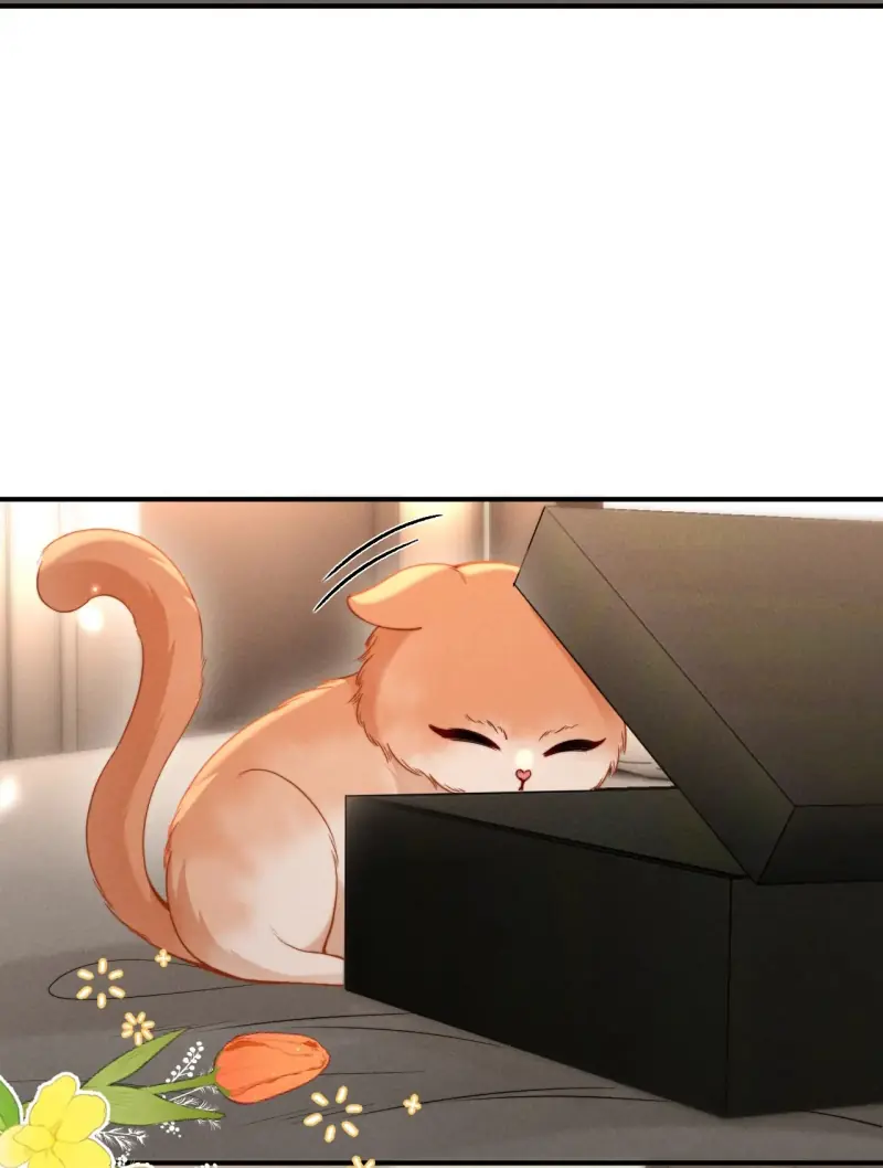 Tật Xấu Nuông Chiều Chapter 54 - Trang 3