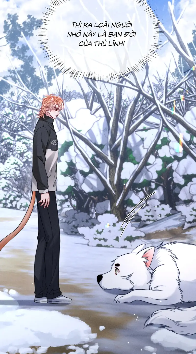 Tật Xấu Nuông Chiều Chapter 55 - Trang 17