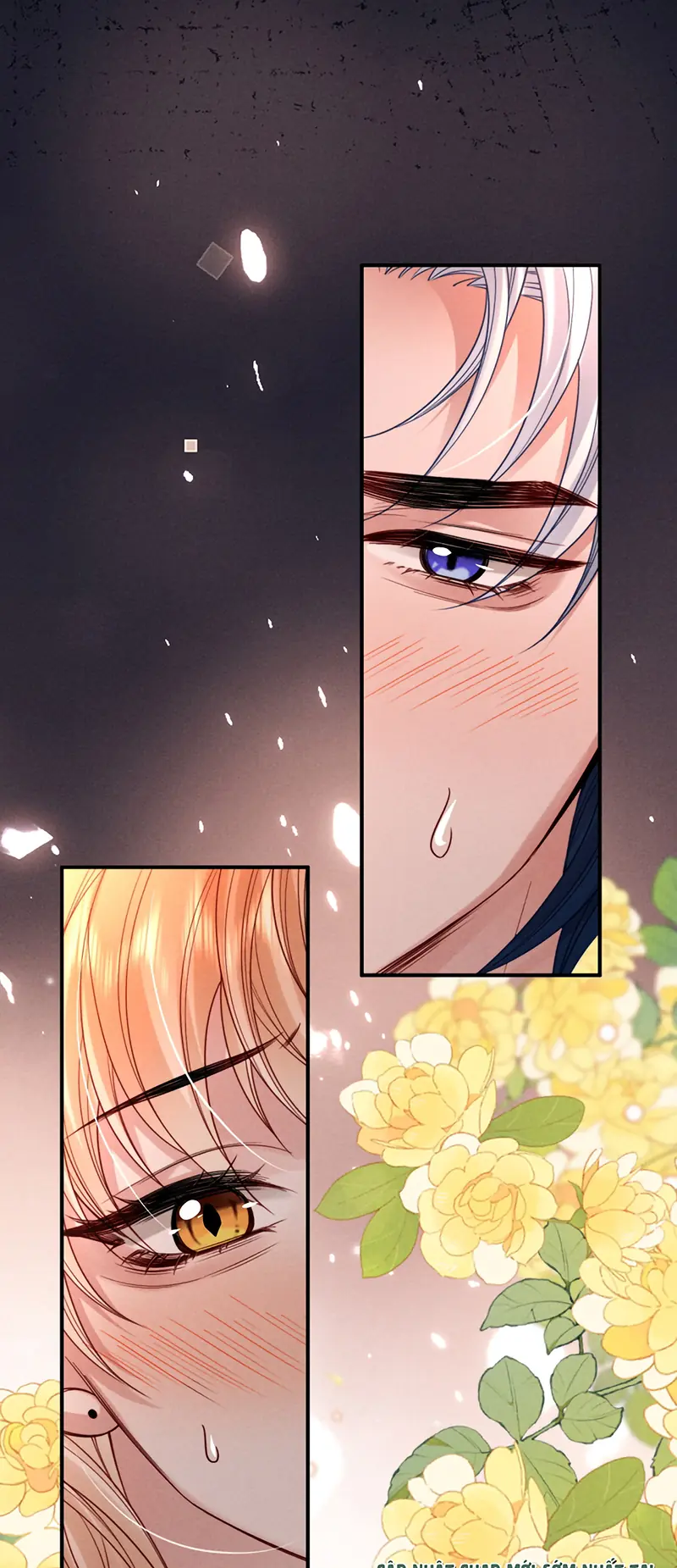 Tật Xấu Nuông Chiều Chapter 60 - Trang 15