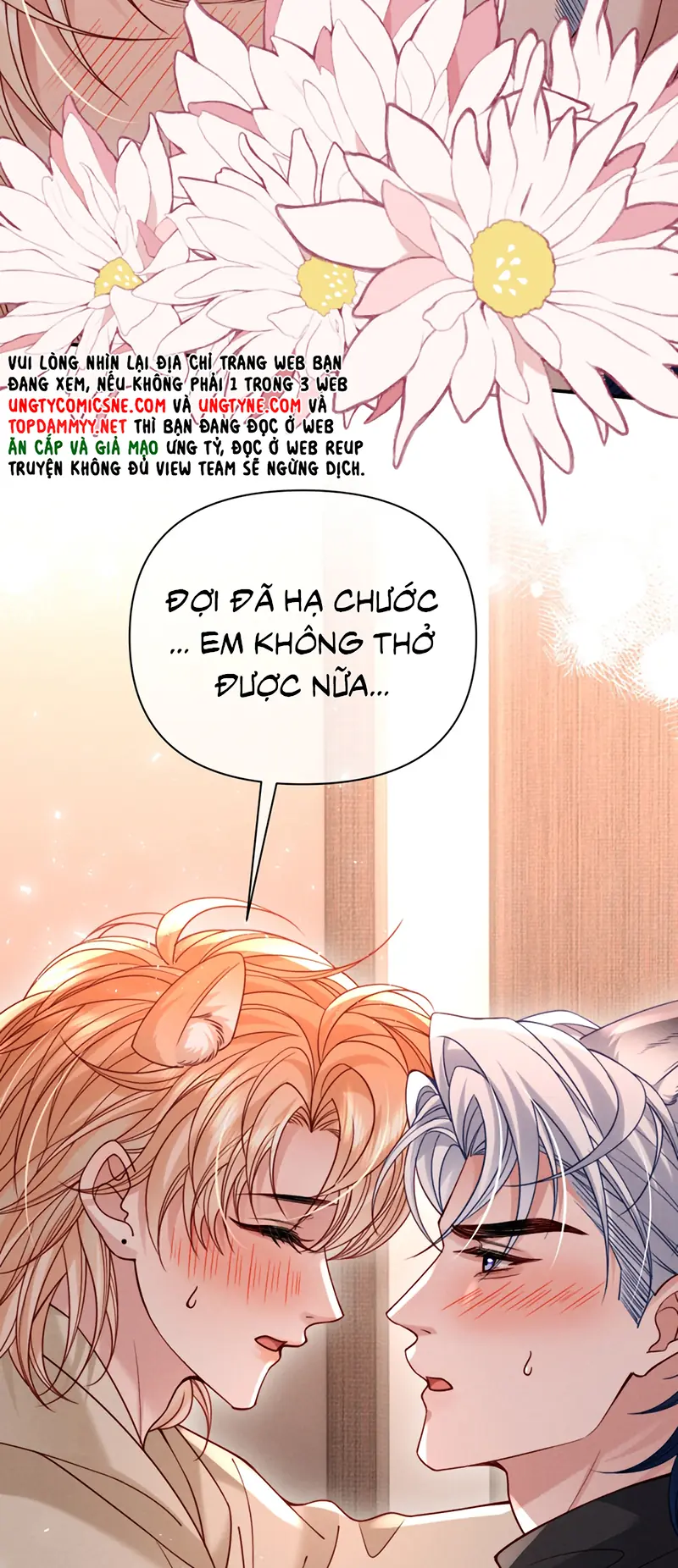 Tật Xấu Nuông Chiều Chapter 60 - Trang 6
