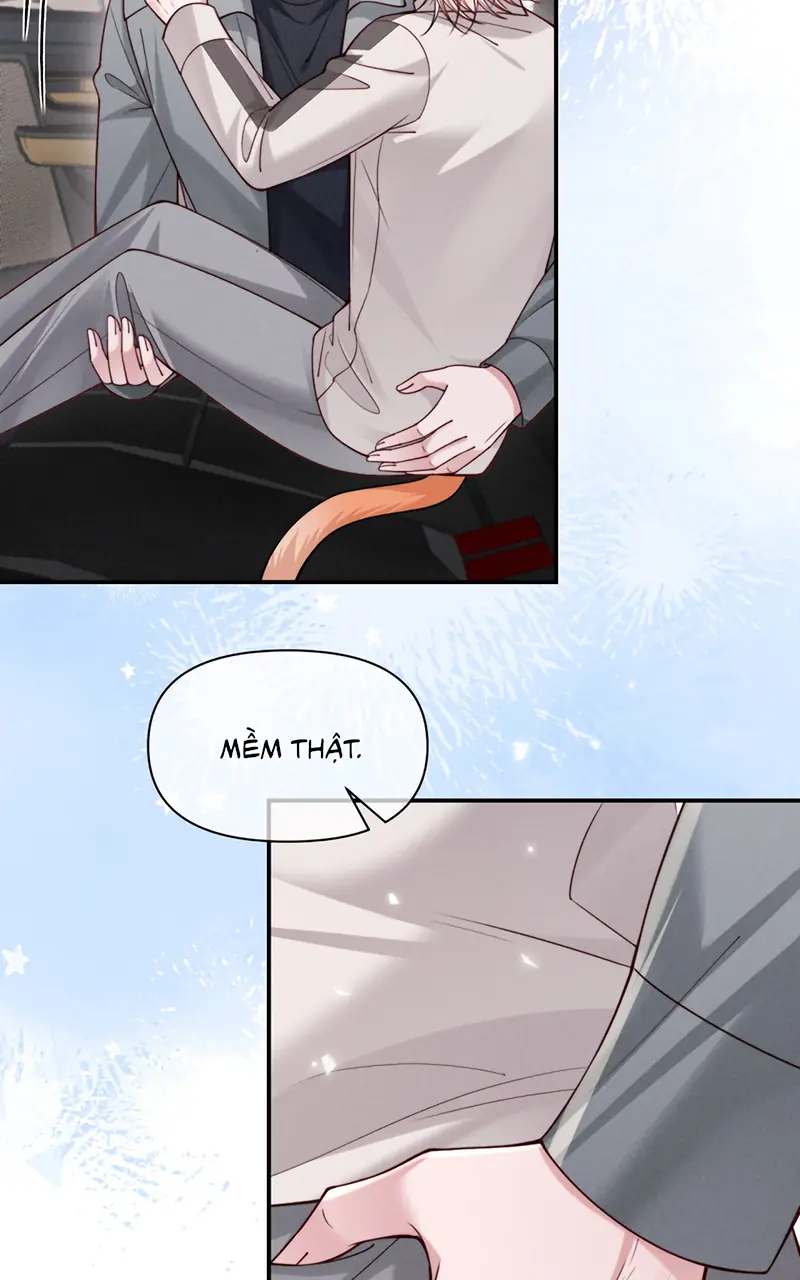 Tật Xấu Nuông Chiều Chapter 70 - Trang 8