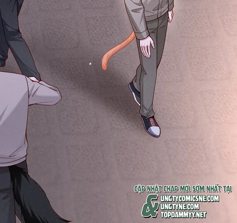 Tật Xấu Nuông Chiều Chapter 73 - Trang 22