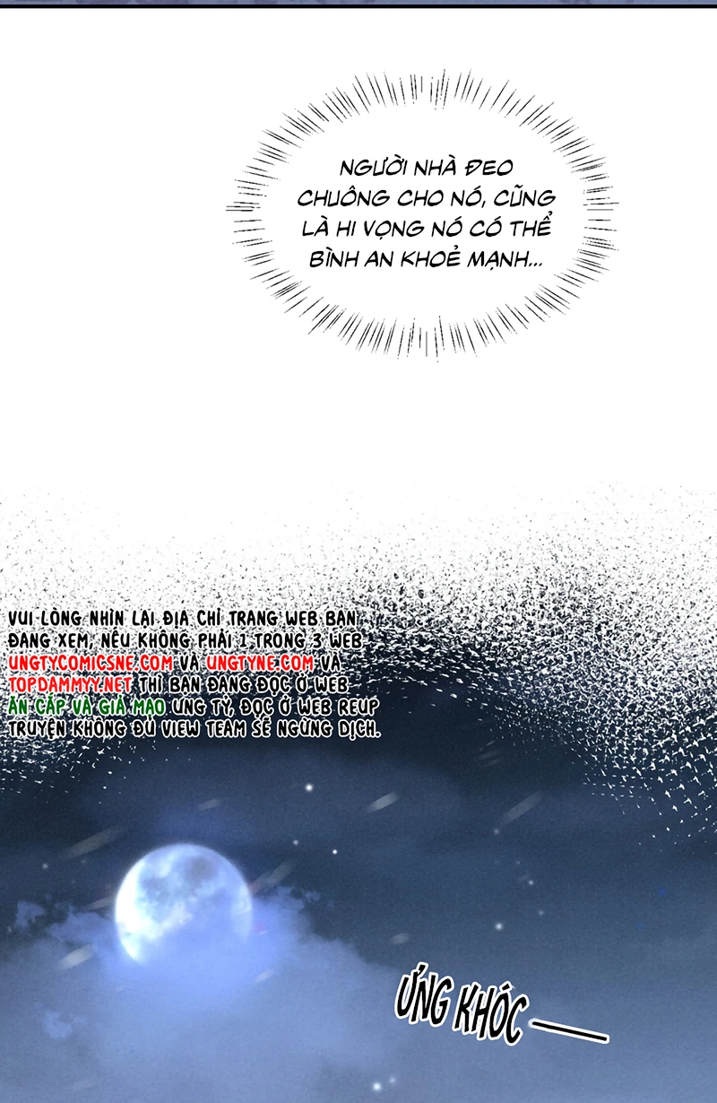 Tật Xấu Nuông Chiều Chapter 74 - Trang 15