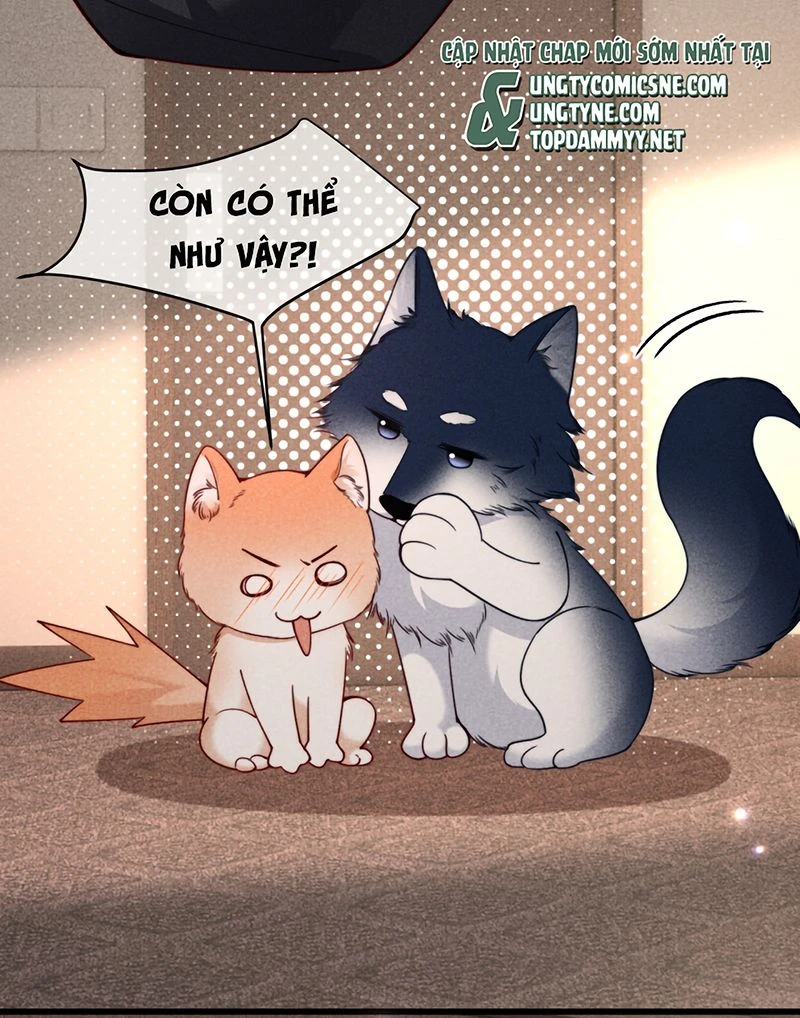 Tật Xấu Nuông Chiều Chapter 80 - Trang 27
