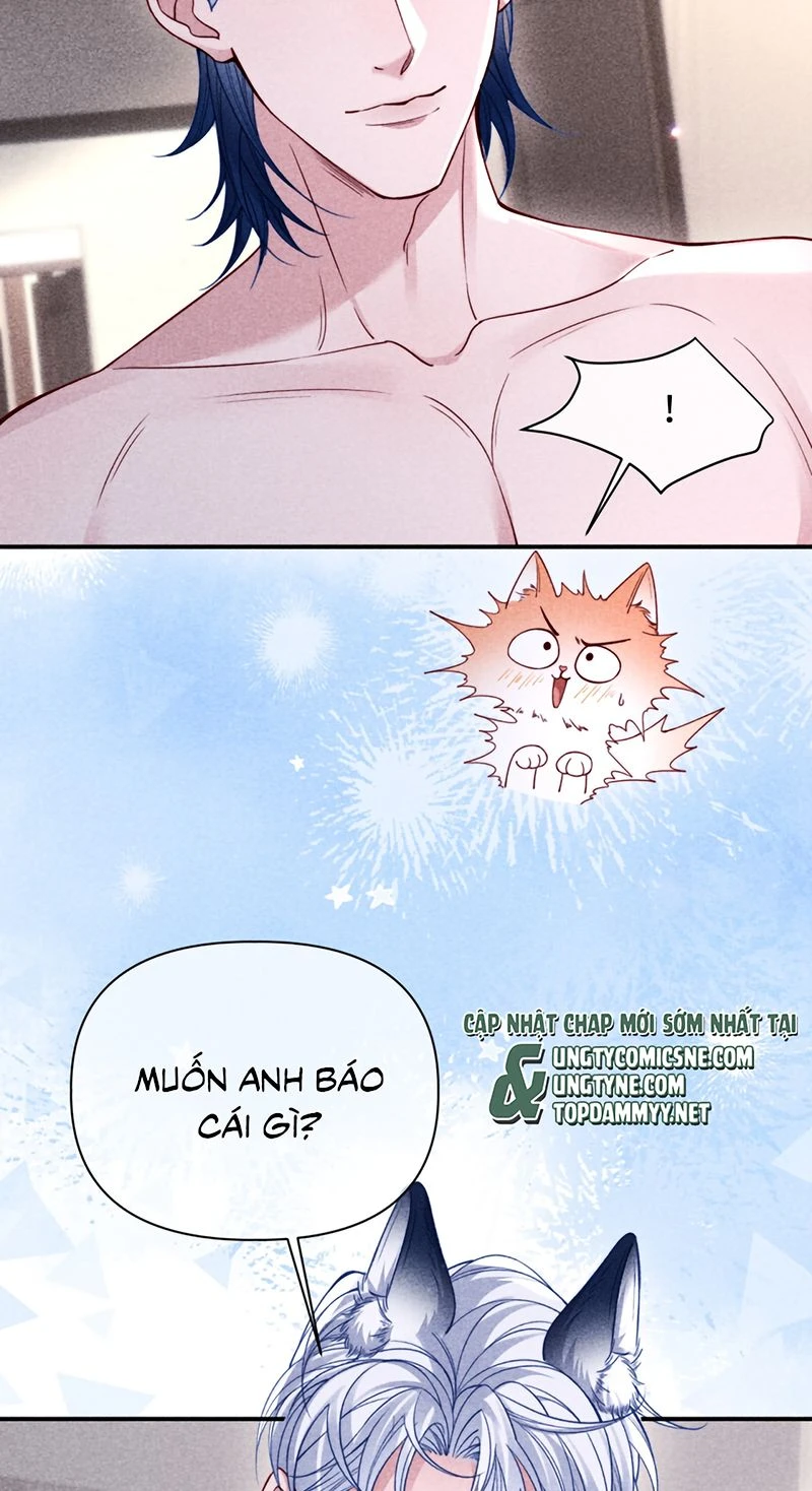 Tật Xấu Nuông Chiều Chapter 81 - Trang 11
