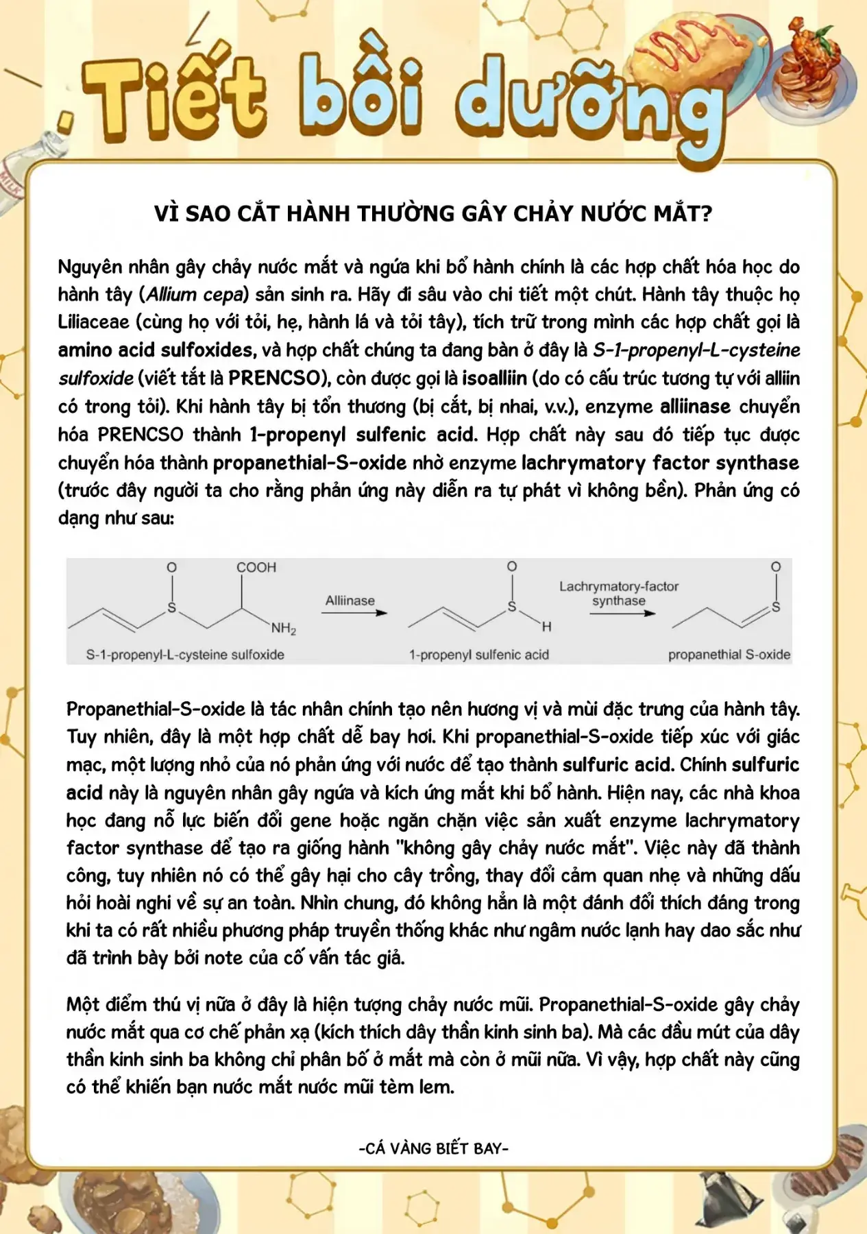 Tên Đầu Gấu Và Bữa Ăn Khoa Học Chapter 9 - Trang 50