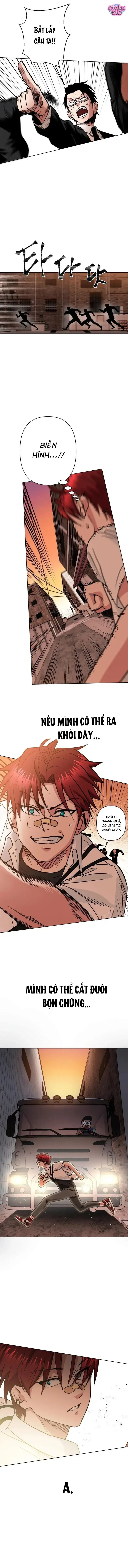 Tên Du Côn Và Tiểu Thư Giang Hồ Chapter 1 - Trang 15