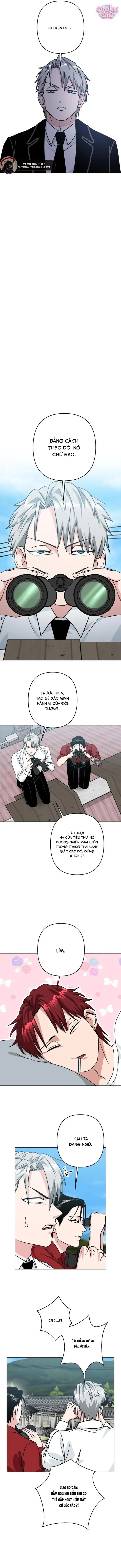 Tên Du Côn Và Tiểu Thư Giang Hồ Chapter 13 - Trang 4
