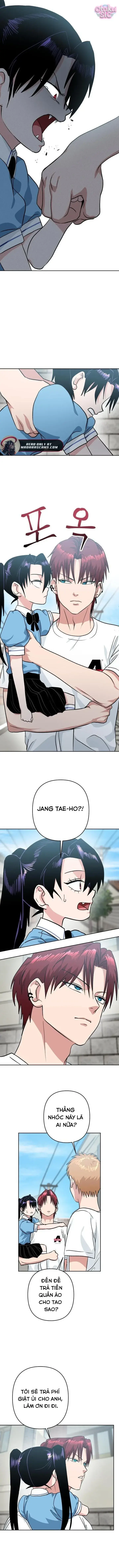 Tên Du Côn Và Tiểu Thư Giang Hồ Chapter 15 - Trang 6