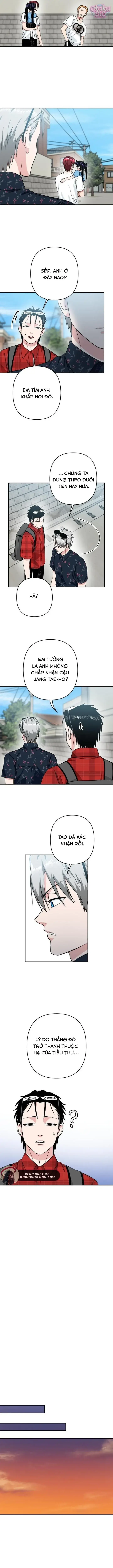 Tên Du Côn Và Tiểu Thư Giang Hồ Chapter 15 - Trang 8