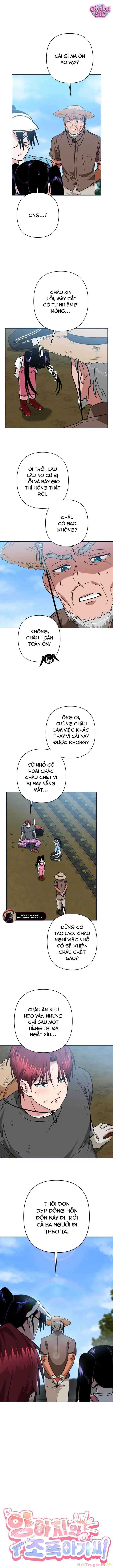 Tên Du Côn Và Tiểu Thư Giang Hồ Chapter 4 - Trang 4