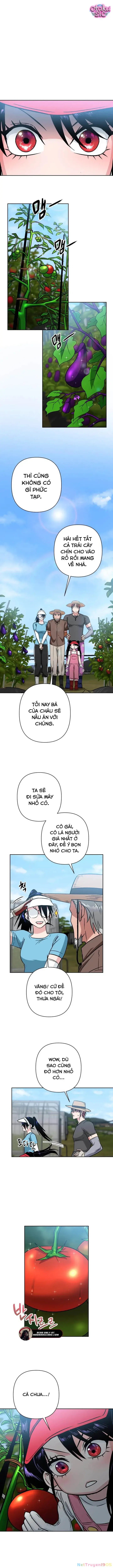 Tên Du Côn Và Tiểu Thư Giang Hồ Chapter 4 - Trang 5