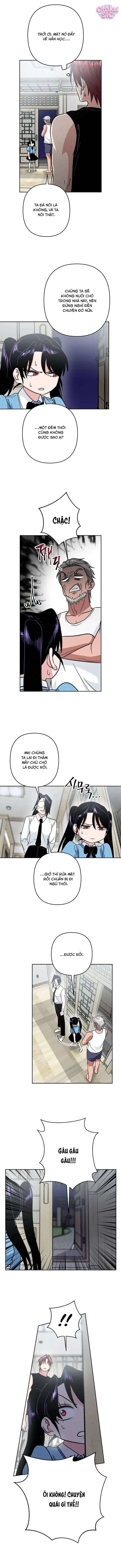 Tên Du Côn Và Tiểu Thư Giang Hồ Chapter 7 - Trang 5