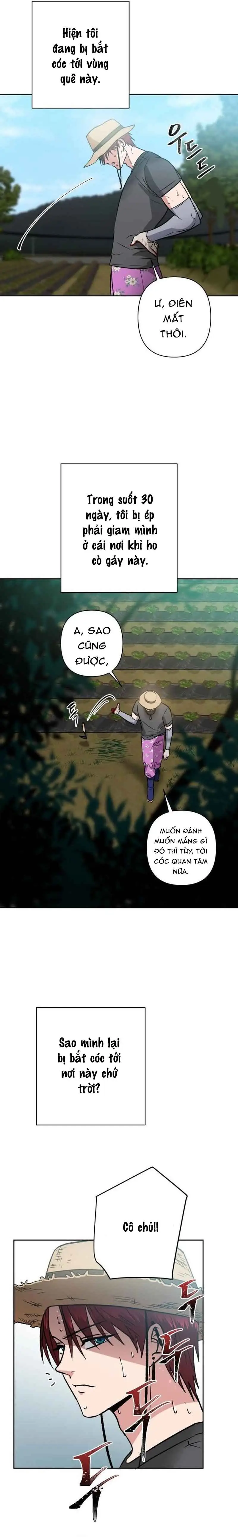 Tên Du Côn Và Tiểu Thư Xã Hội Đen Chapter 1 - Trang 5
