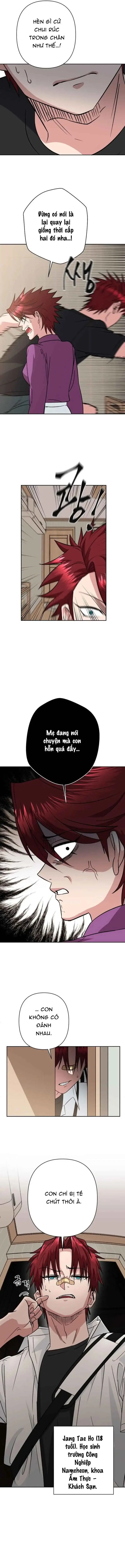 Tên Du Côn Và Tiểu Thư Xã Hội Đen Chapter 1 - Trang 9