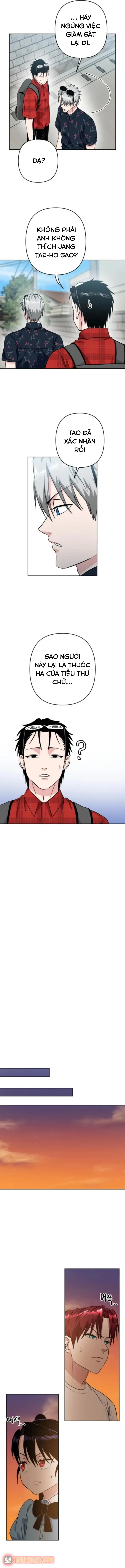 Tên Du Côn Và Tiểu Thư Xã Hội Đen Chapter 15 - Trang 11
