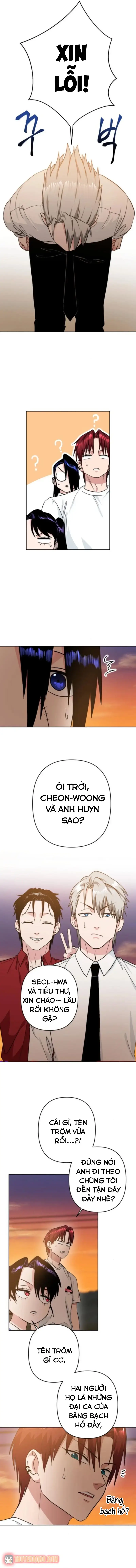 Tên Du Côn Và Tiểu Thư Xã Hội Đen Chapter 15 - Trang 13