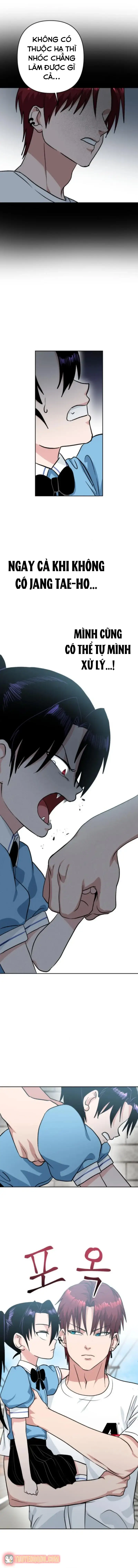 Tên Du Côn Và Tiểu Thư Xã Hội Đen Chapter 15 - Trang 8