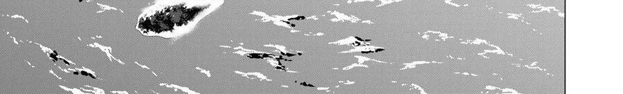 Tenpuru Chapter 119 - Trang 8