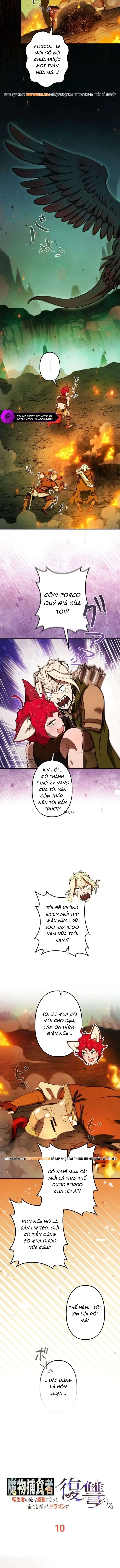 Tensei Shita Saikyo No Monsuta Kusha: Bokun Ryu E No Fukushu Chapter 10 - Trang 14