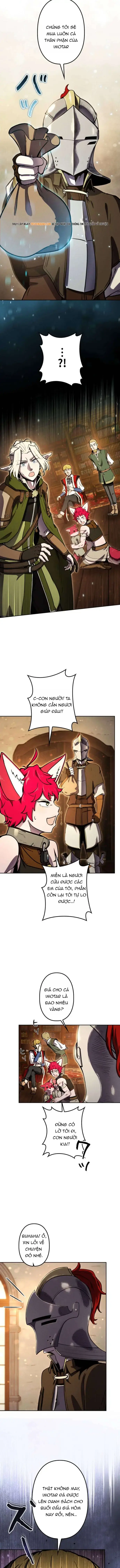 Tensei Shita Saikyo No Monsuta Kusha: Bokun Ryu E No Fukushu Chapter 13 - Trang 13