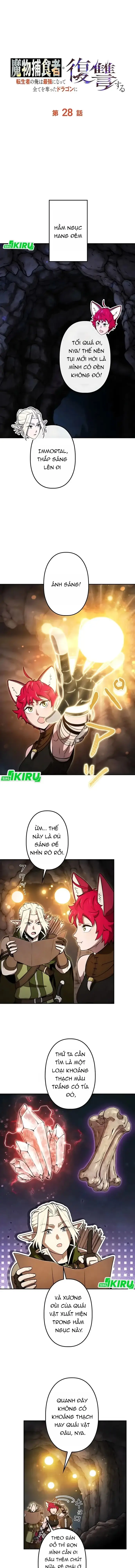 Tensei Shita Saikyo No Monsuta Kusha: Bokun Ryu E No Fukushu Chapter 28 - Trang 12