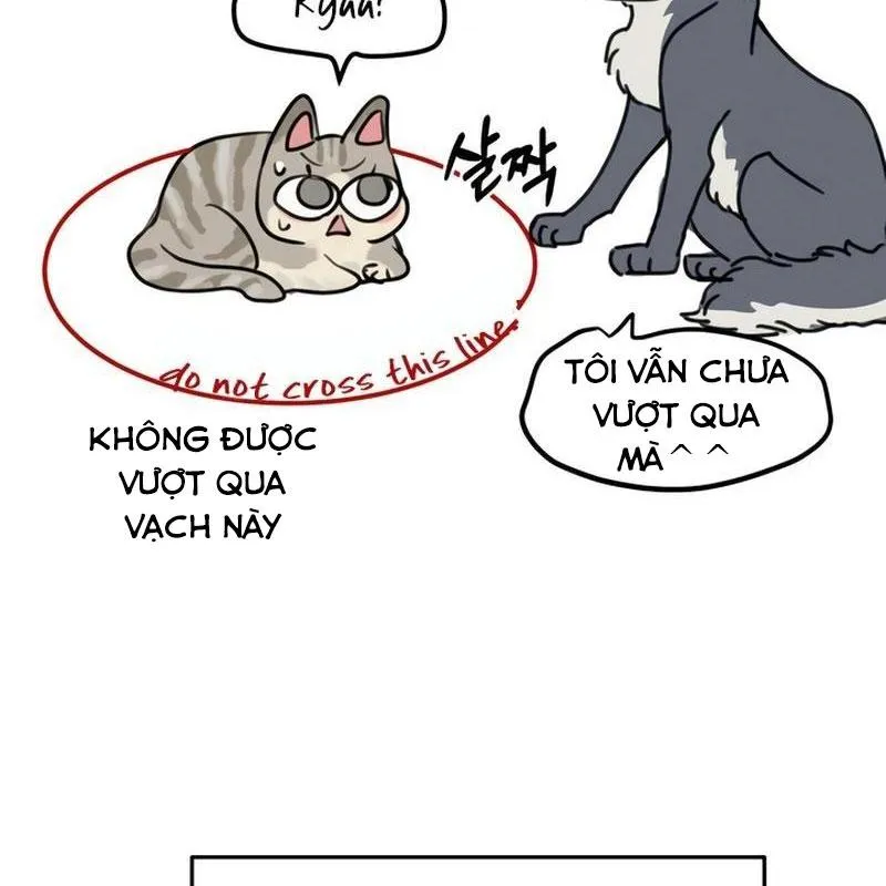 Thà để bị lừa dối Chapter 5 - Trang 27