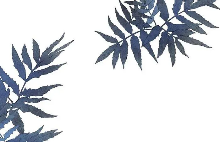 Thà Gả Cho Người Đã Khuất Còn Hơn Làm Vợ Lẽ Chapter 52 - Trang 48