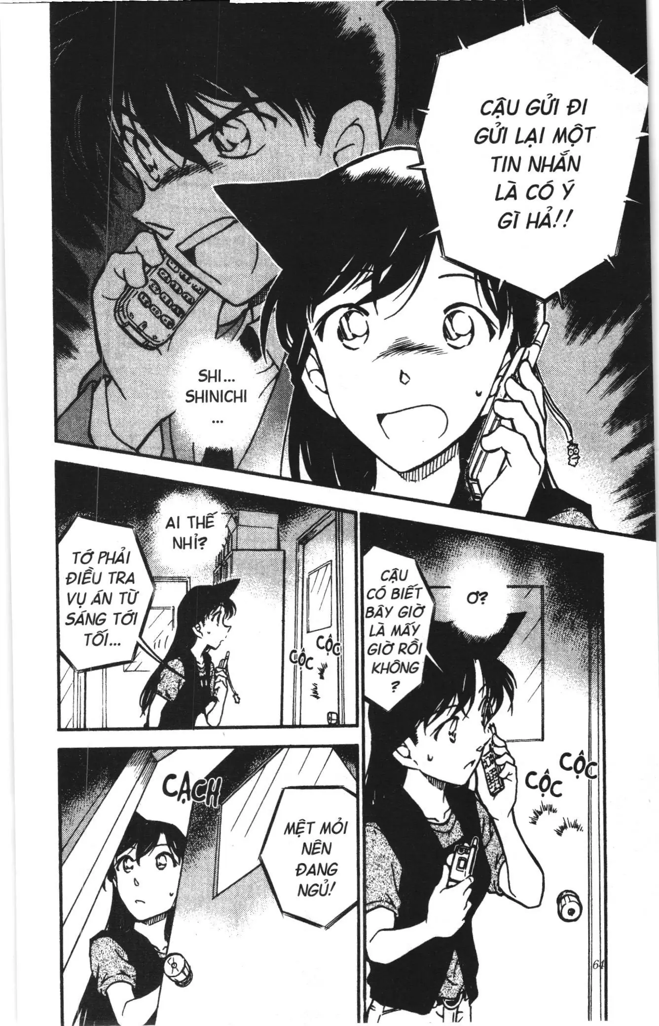 Thám tử lừng danh Conan Loạt truyện tranh (NXB Kim Đồng) Chapter 495 - Trang 12