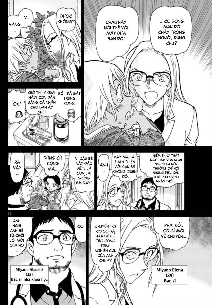 Thám Tử Lừng Danh Conan Chapter 1011 - Trang 13