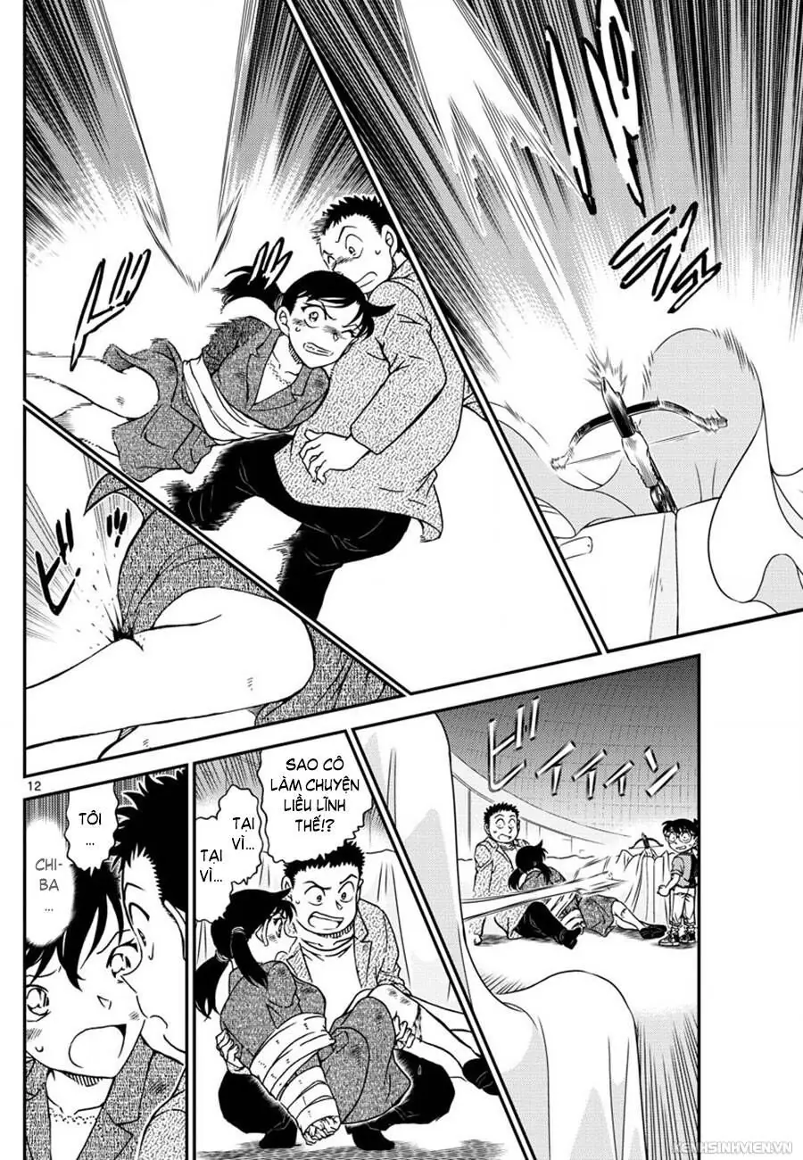 Thám Tử Lừng Danh Conan Chapter 1017 - Trang 13
